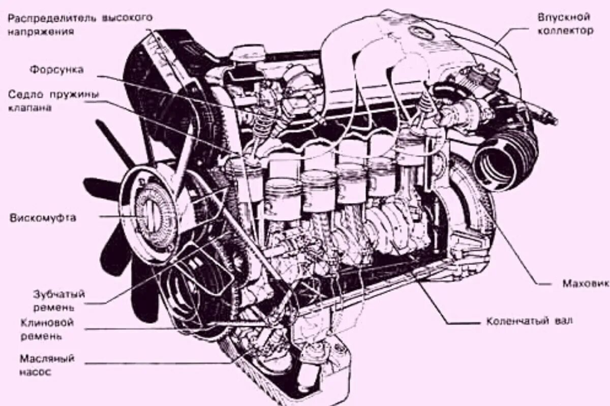 Названия двигателей автомобилей. Схема двигателя БМВ Е 34 мотор м 50. Схема двигателя м20б25. БМВ Е 34 схема двигателя м 520. Двигатель м20 БМВ схема.