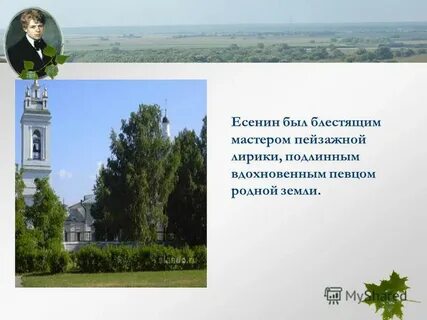 Есенин деревья