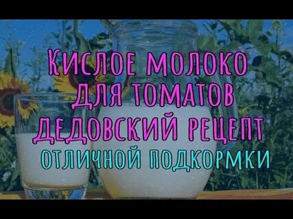 Подкормить кислым молоком