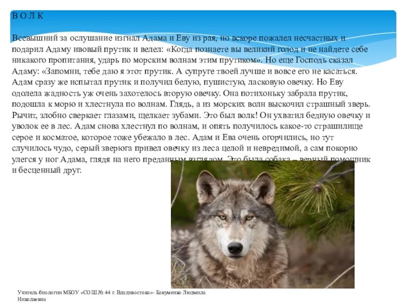 Предания о животных. Легенды о животных. легенда про животное. легенды о животных 2 класс.