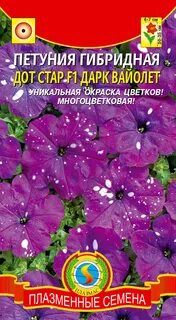 Дот стар петуния