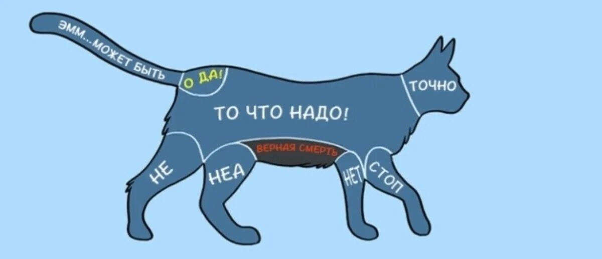 How do i pet