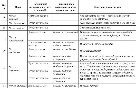 Иннервация черепных нервов. 12 Пар черепно-мозговых нервов их ядра. Таблица функции 12 пар черепно-мозговых нервов ЧМН. 12 Пар черепно мозговых нервов таблица иннервация. Черепные нервы иннервация таблица.