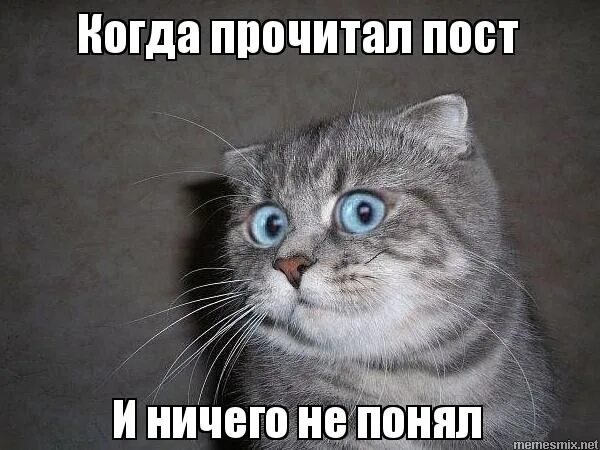 с одесского кичмана сбежали два уркана. с днем почты россии. почта. когда работаешь в выходные мем. почесть post.