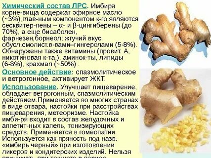 Корень имбиря польза и вред для здоровья