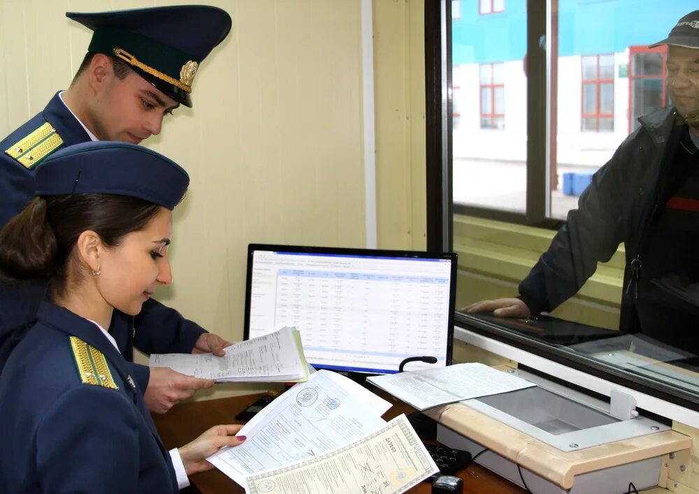Кем работать после таможенного дела