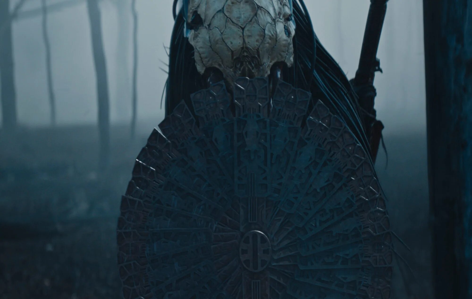 Хищник 2022 года. Хищник 2022 года. Хищник 2022 года. Хищник 2022 года. Хищник 2022 года.