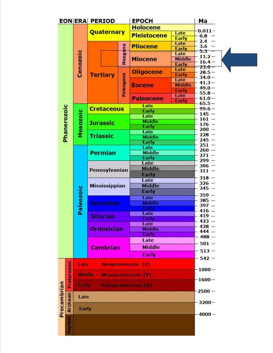Геохронологическая таблица Геология. Геохронологическая шкала фанерозоя. Геохронологическая шкала таблица. Палеозой Геохронологическая шкала.