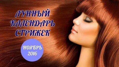 Стрижка и окрашивание волос в ноябре