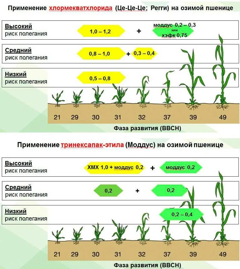 Удобрения урожайность
