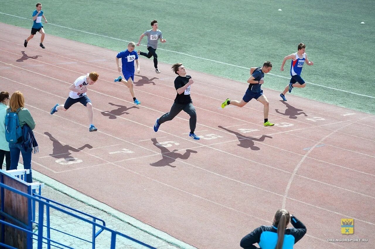 вархутдинов роман оренбург. 10. оренбургский легкоатлет. комитет по физической культуре оренбург. комитет по физической культуре оренбург.