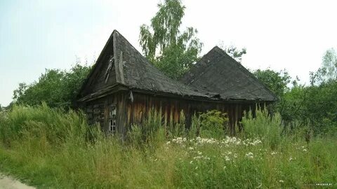 Деревня осинки