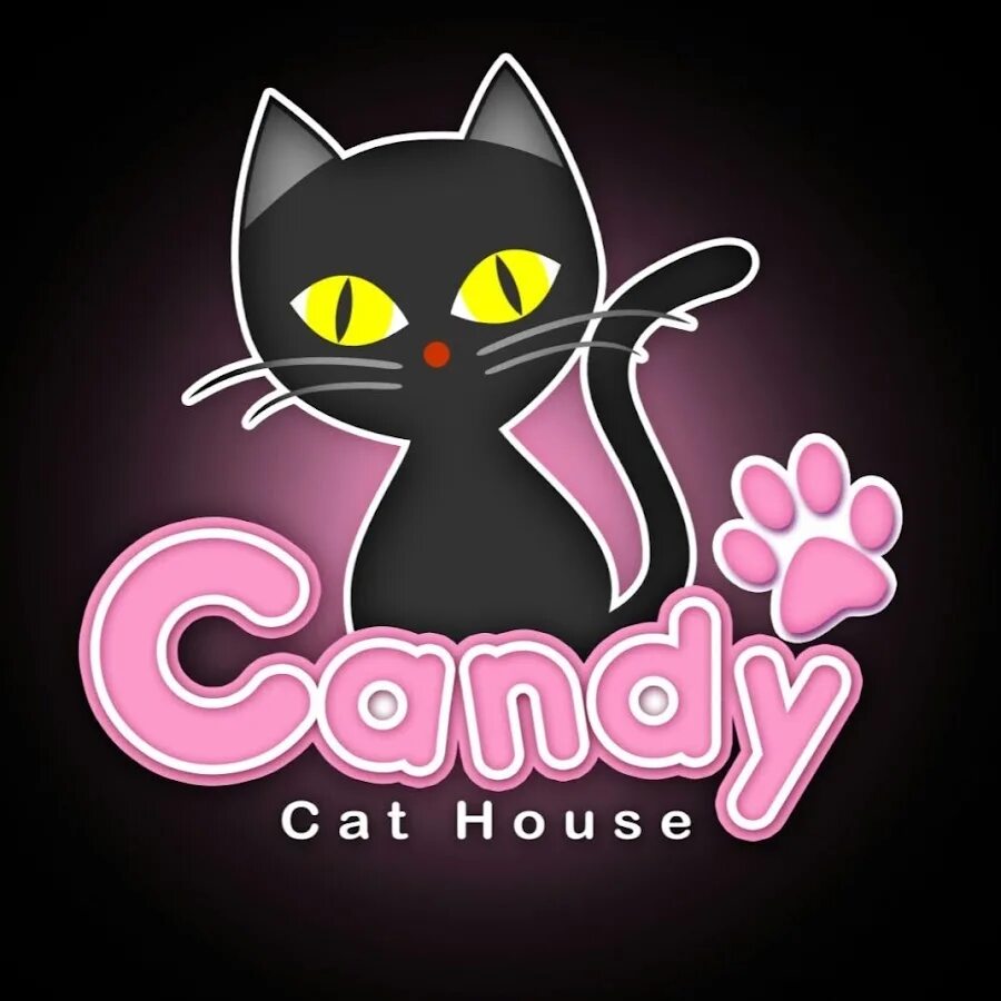 Канди кат. Кэнди кэт игрушка. Candy cat игра. Канди кат. Candy cat магазин.