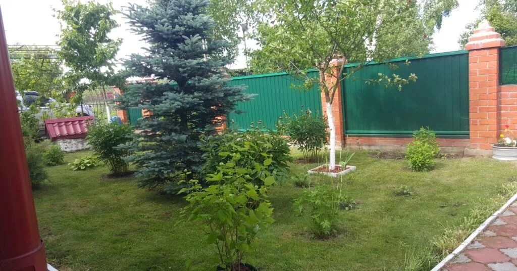 Снт солнышко южно-сахалинск. Снт солнышко ульяновск. Снт солнышко ульяновск. Снт солнышко ульяновск. Участки снт солнышко.