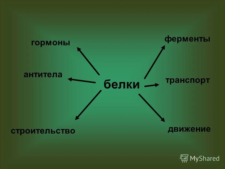 схема твердофазного конкурентного ифа. схема прямого метода ифа. антиген антитело схема. иммуноферментный метод (ифа). Igm строение иммуноглобулина.