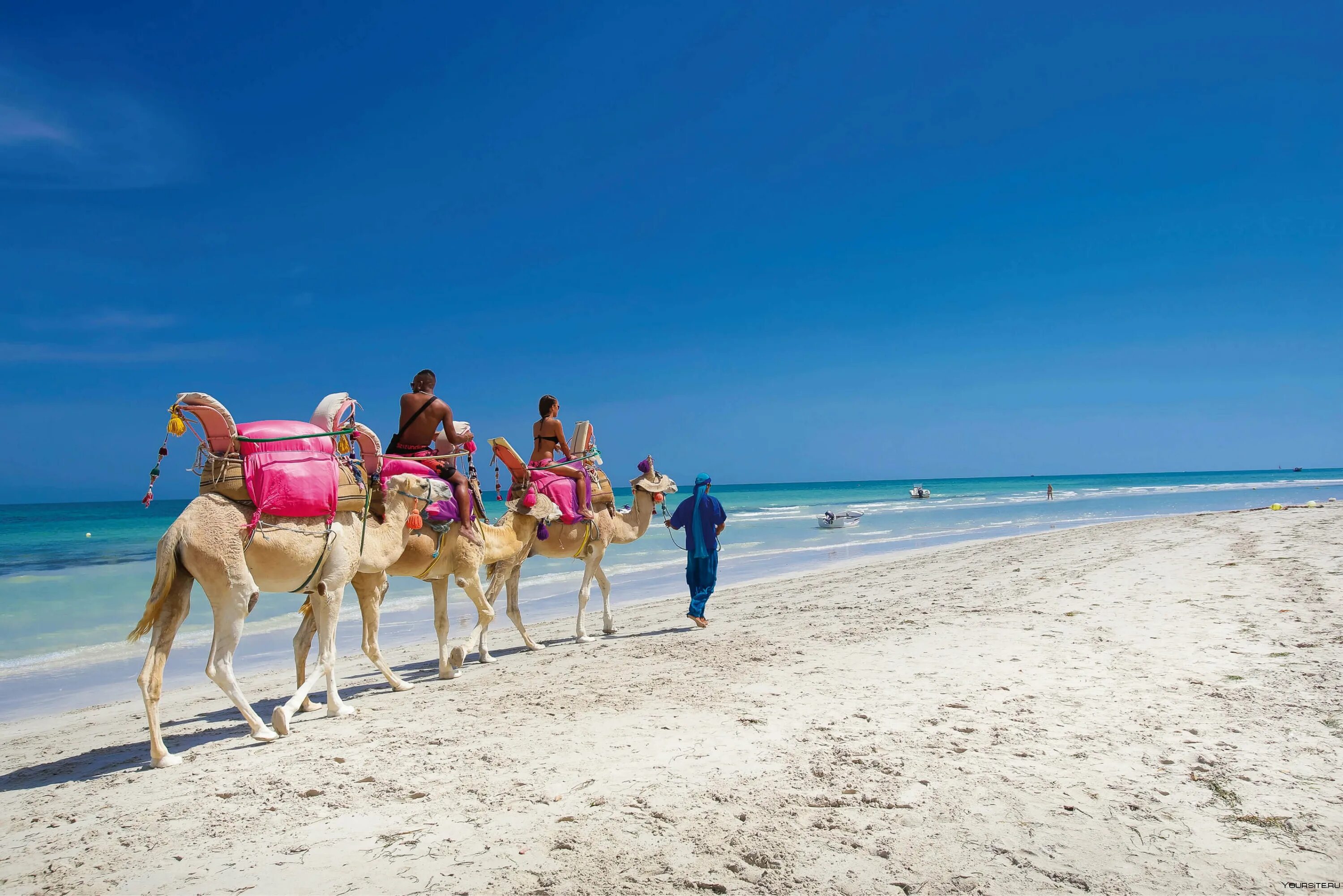 Тунис остров Джерба. Тунис остров Джерба море. Djerba Тунис. Остров Джерба Тунис фото. Тунис погода сейчас