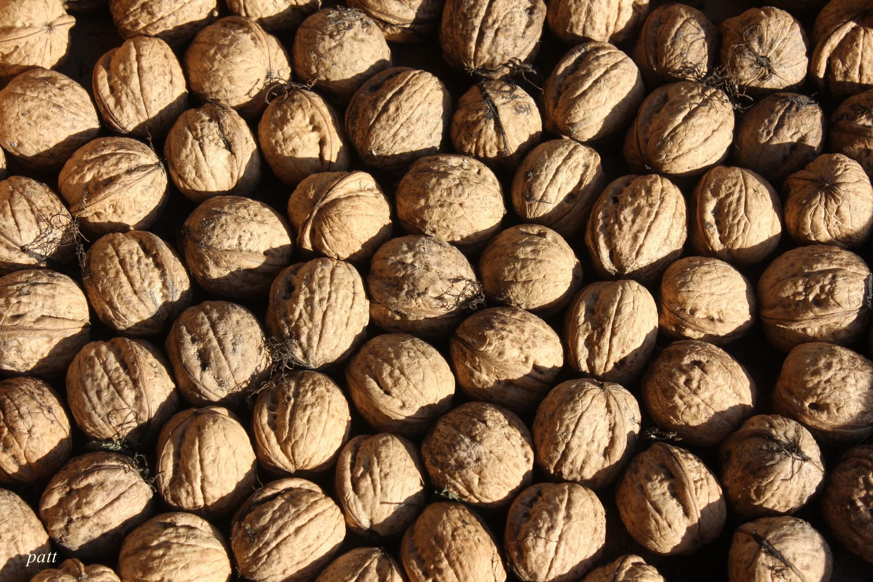 Фундук миндаль грецкий орех. Орех 1 3. Орех. Грецкий орех в скорлупе (чили) 1 кг. Цвет старый орех мебель.