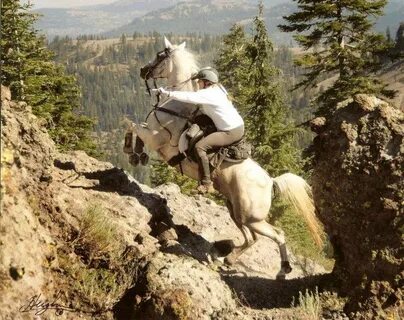 Ride horse have you ever ridden