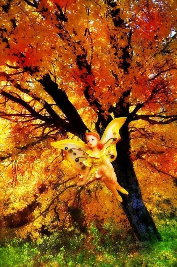 Fairy fall