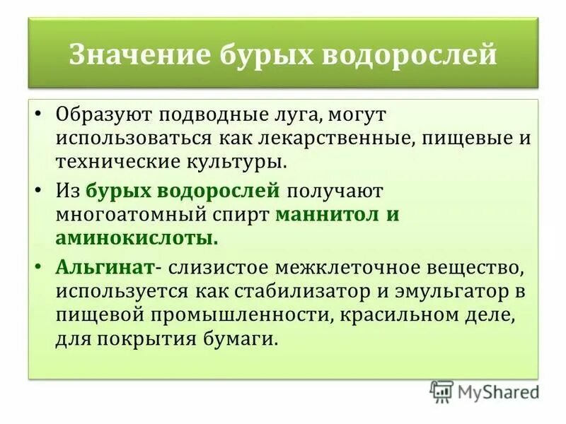значение бурых водорослей. значение бурых водорослей. значение водорослей в природе и жизни человека. значение бурых водорослей в жизни человека. значение бурых водорослей.