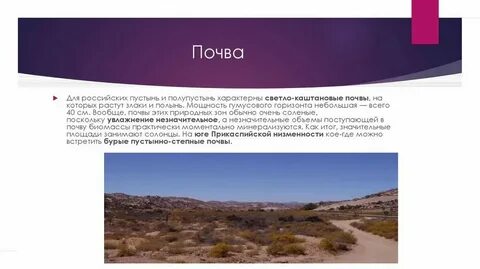 Природная зона пустыни почвы