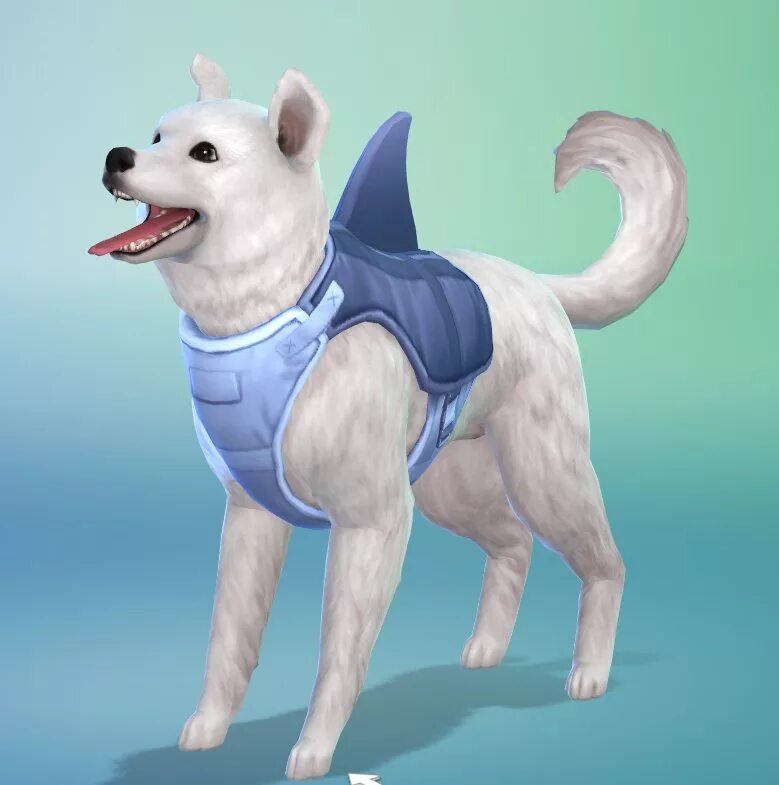 Sims 4 dog. The sims 4 собаки. симс 4 питомцы собаки. ханаанская собака симс 4. симс собаки симс собаки.