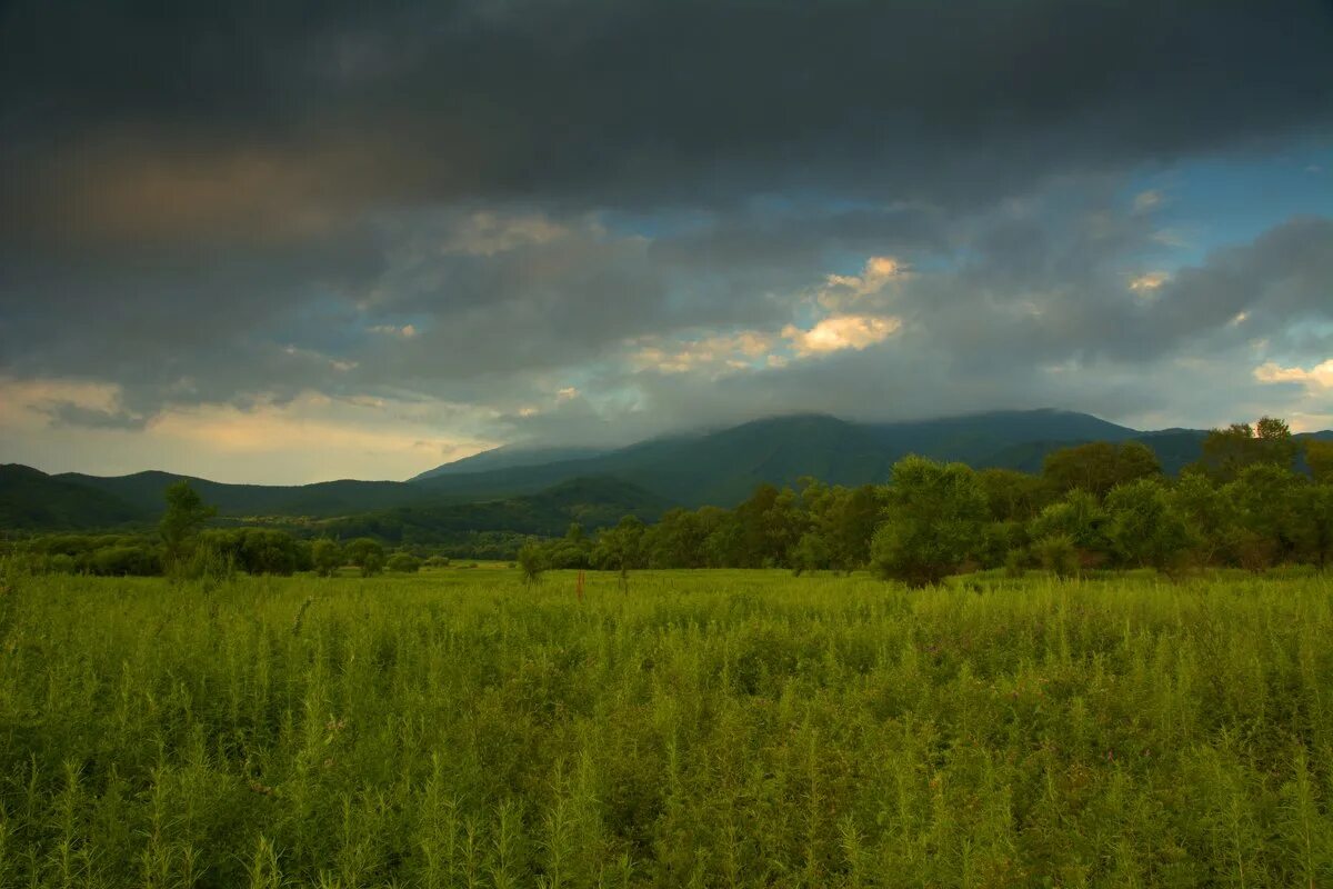 в уссурийском крае лето можно егэ. природные ресурсы уссурийской тайги. в уссурийском крае лето можно егэ. в уссурийском крае лето можно егэ. заказник удыль хабаровский край.