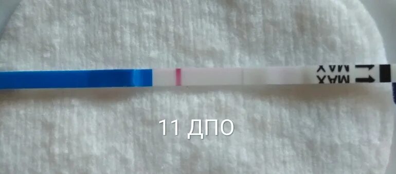 11 недель тянет низ живота. 11 ДПО тянет низ живота. 11 ДПО болит живот тест отрицательный. 11 ДПО тест. 11 ДПО тянет левый яичник.