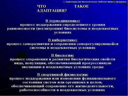 Что понимается под термином адаптация