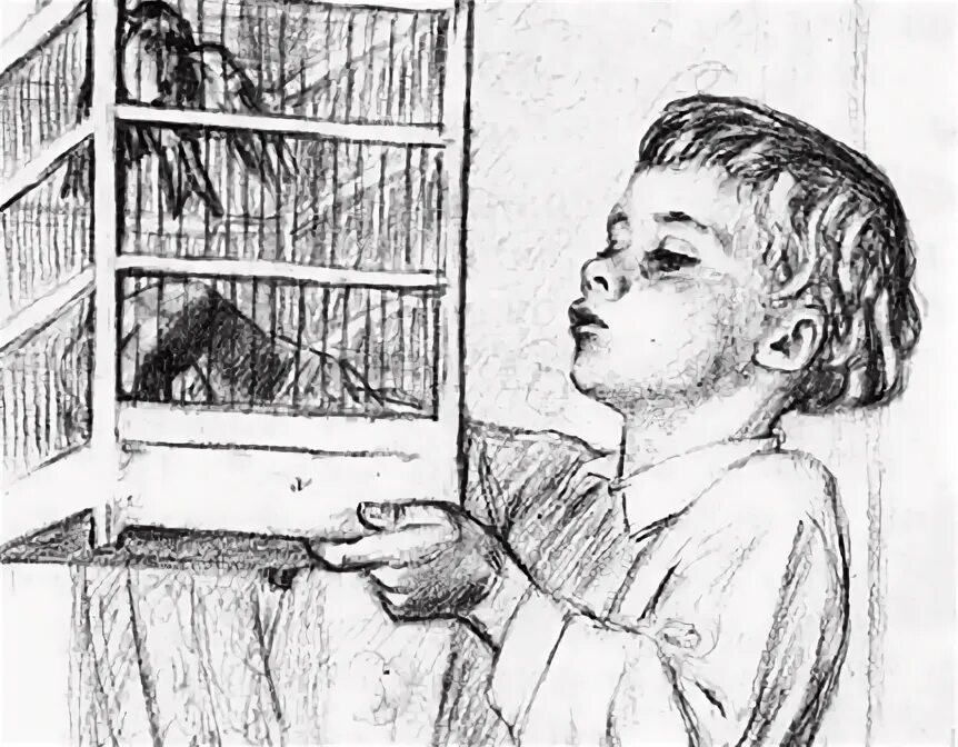 Произведение толстого птичка. Лев николаевич толстой птичка. л толстой птичка. лев толстой птичка быль. толстой птичка иллюстрации.