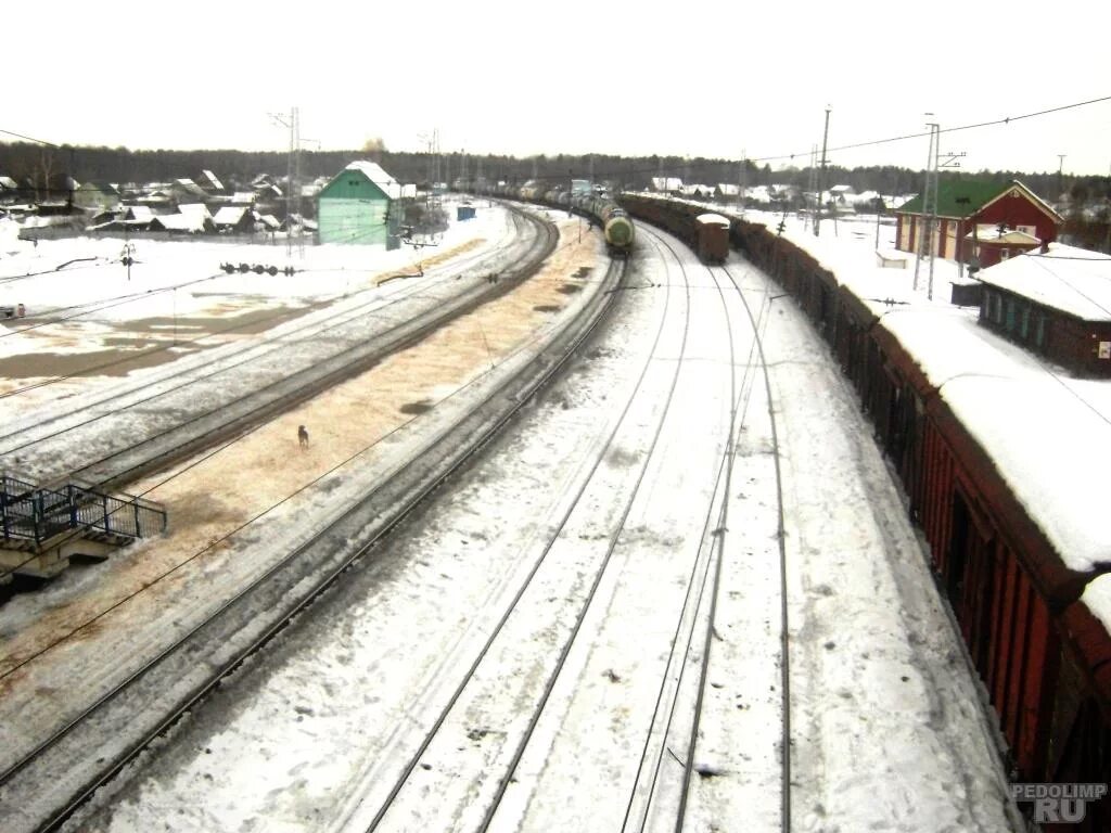 Погода в потьме зубово на неделю. Новая Потьма Зубово-Полянский. Потьма Мордовия. Станция Потьма Мордовия. Железнодорожная станция Потьма.