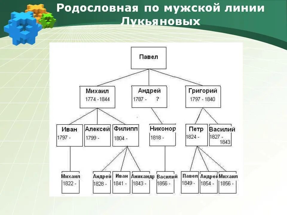 Родовые линии расшифровка. Родословная по мужской линии. Генеалогическое Древо по мужской линии. Родословная по женской линии. Проект родословная по мужской линии.