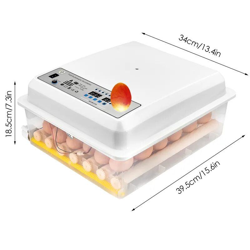 Инкубатор для яиц. Современный инкубатор для яиц. Мини инкубатор для яиц. Мини инкубатор для яиц детский.