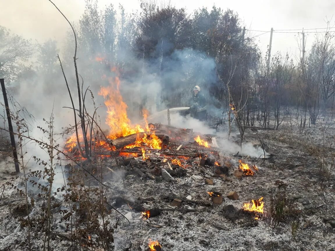 Пожары в Курской области за последние сутки. Курская область Злобино пожар. Случай с пожаром в Курской области. Термические точка в лесах. Расширенные пожары