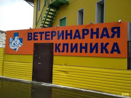 Ветклиника курган