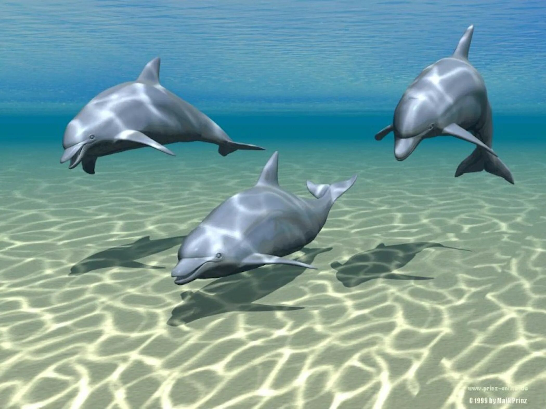 3 d ocean