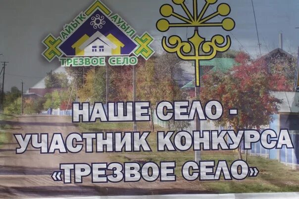 Трезвое село Башкортостан. Трезвое село баннер. Баннеры трезвость. Трезвое село эмблема.