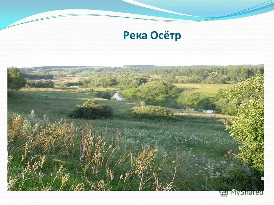 куда течет река осетр. река осётр река ока река волга. река осетр на карте. куда течет река?. куда течет река осетр.
