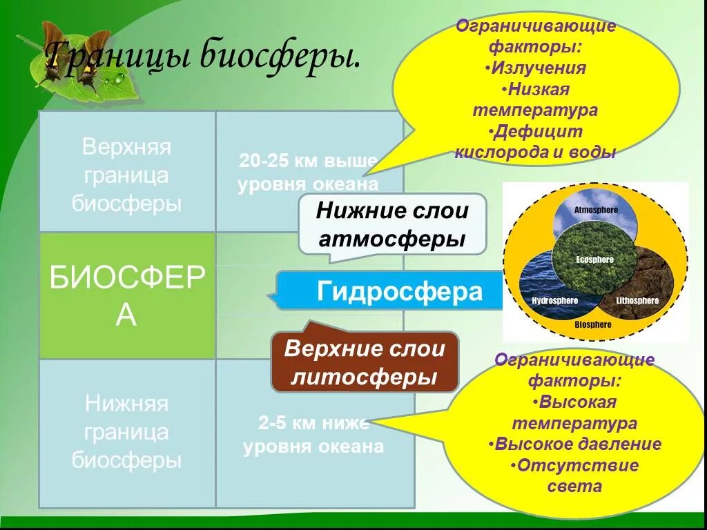 Ограничивающие факторы биосферы. Лимитирующие факторы биосферы. Ограничивающие факторы гидросферы. Ограничивающие факторы литосферы.