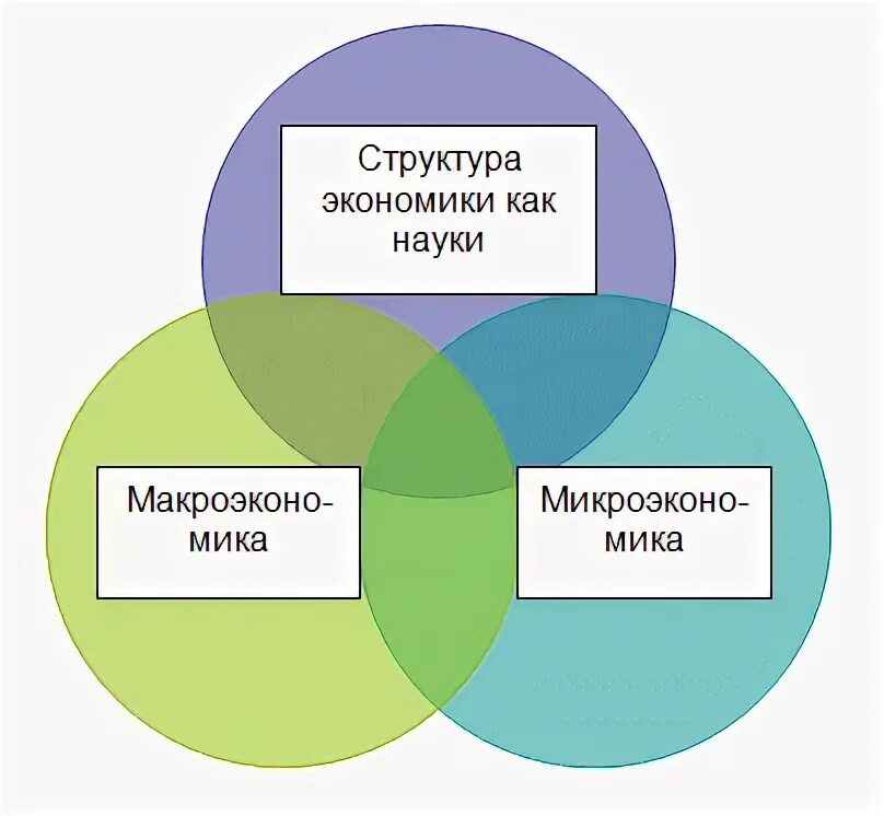 Экономическая сфера общества 8 класс контрольная работа. Экономическая сфера. Факторы экономической сферы общества. Сферы экономики схема. Функции экономической сферы.