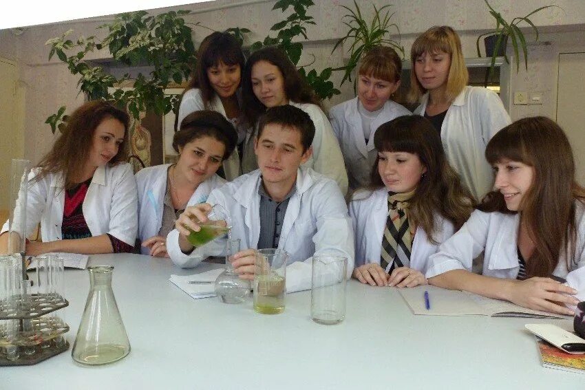 Химбио после 9 класса