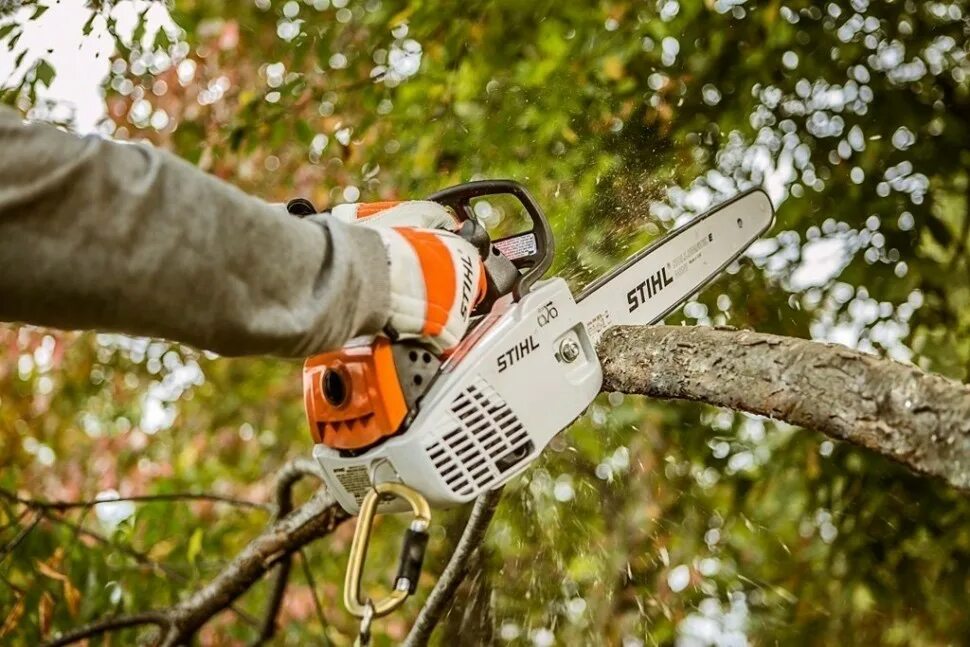 Обкатка штиль. Stihl MS 193t. Stihl ms194. Бензопила Stihl MS 193 T. Штиль МС 194т.