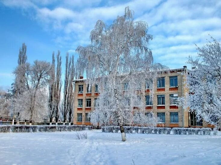 Здание школы зима. Школа зимой. Школьный двор зимой. Двор школы зимой.