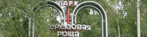 Сайт березовой рощи новосибирск