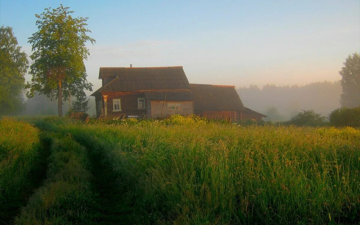 Обои деревня летом. Деревня Мегра Вологодская пейзаж. Лето в деревне. Природа деревня. Деревенский домик.