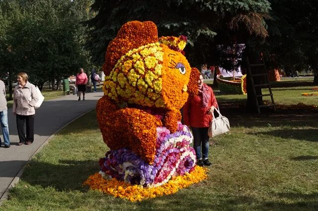 ижевск цветущий город. праздник цветов. выставка цветов. фестиваль цветов ижевск. фестиваль цветов ижевск.
