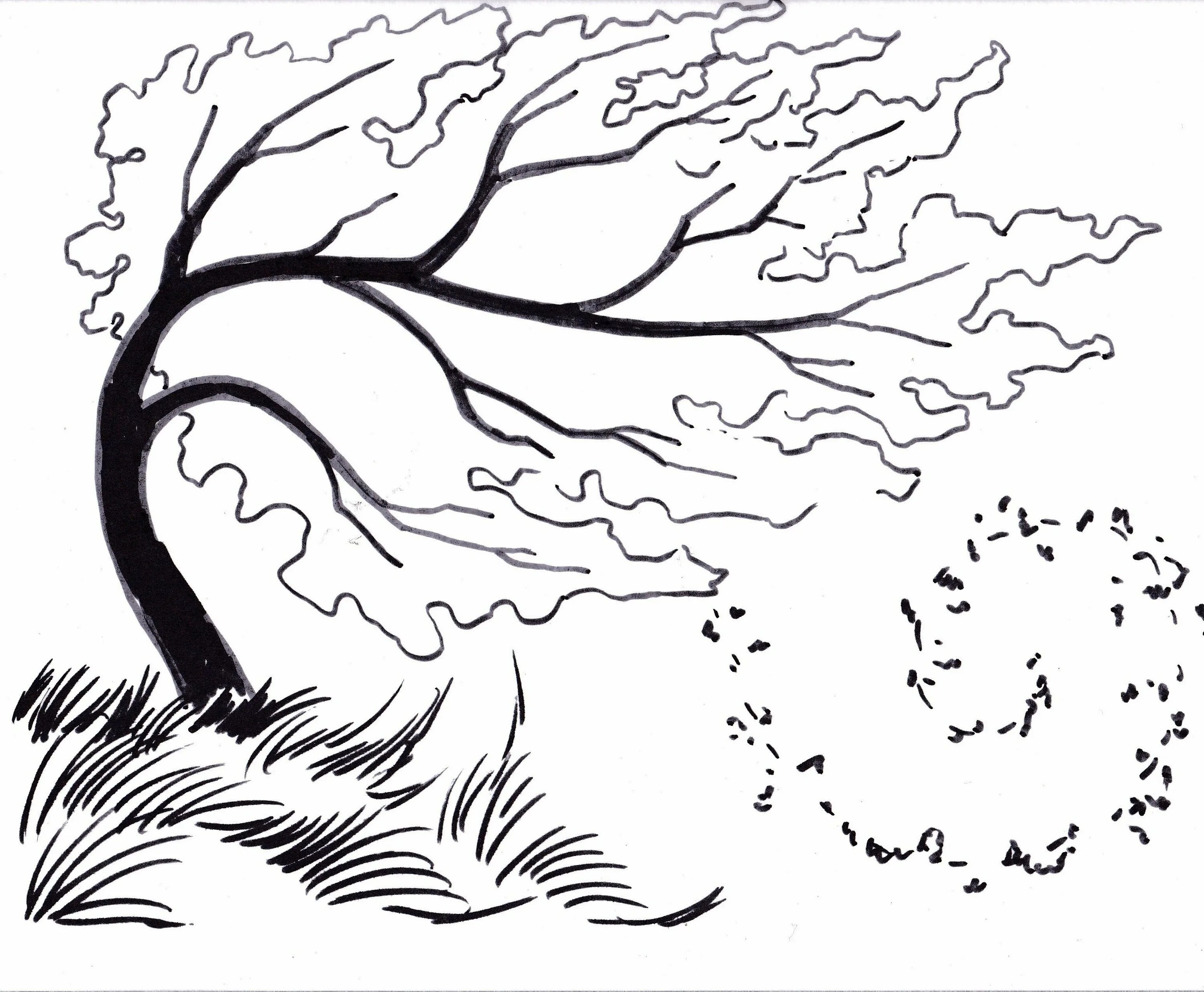 Рисунок к стихотворению в бурю. Контуры пейзажей для рисования. Дерево на ветру раскраска. Ветер рисунок. Контуры для рисования природа.