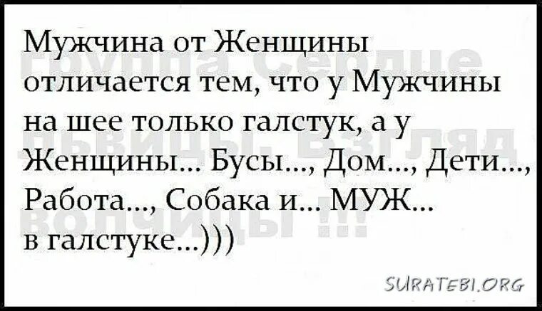 Жванецкий о мужчинах и женщинах афоризмы. Жванецкий о женщинах. Фразы Жванецкого о женщинах. Что отличает женщину от мужчин высказывания.