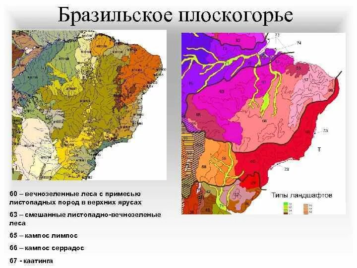 Природные зоны бразилии почва. Типы почв Южной Америки на карте. Бразильское плоскогорье почва. Бразильское плоскогорье на карте. Южная Америка бразильское плоскогорье.