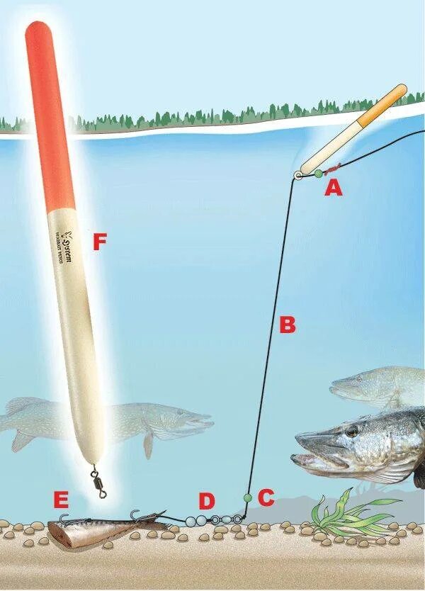 Правильно ловля щуки. Оснастка на щуку с поплавком. Снасти на щуку летом. Хитрые снасти для рыбалки. Снасть для ловли щуки на поплавок.